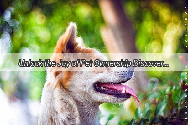 Unlock the Joy of Pet Ownership Discover How to Legally Purchase a Pup